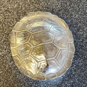 Decorative Turtle Shell Storage